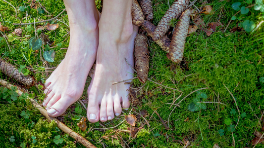 Estudios sobre el Grounding
