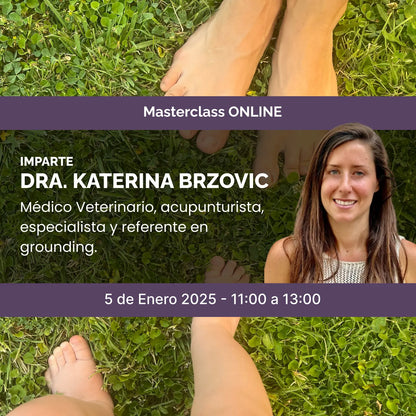 Masterclass ONLINE 05/01/25 "Grounding, La maravillosa ciencia detrás de tocar la Tierra"