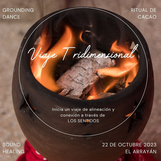 22 Octubre 2024 -Taller Presencial "Viaje Tridimensional"